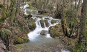 SAN PELLEGRINO TERME - MONTE MOLINASCO - FOTOGALLERY